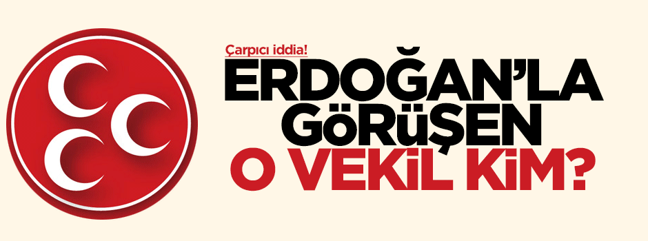 Erdoğan'la görüşen MHP'li vekil Türkeş mi?
