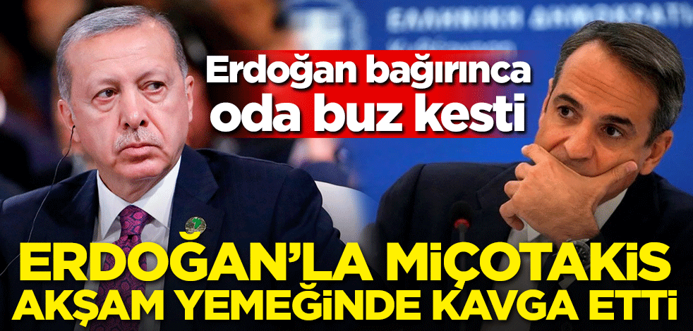 Erdoğan'la Miçotakis akşam yemeğinde kavga etti! Erdoğan bağırınca oda buz kesti