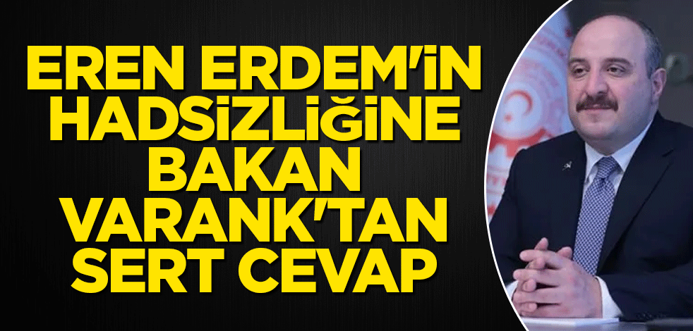 Eren Erdem'in hadsizliğine Bakan Varank'tan sert cevap