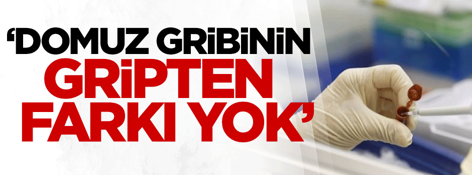 Ergönül: Domuz gribinin gripten farkı yok