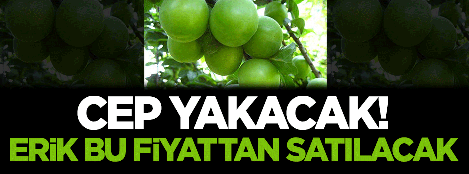 Erik bu fiyattan satılacak!