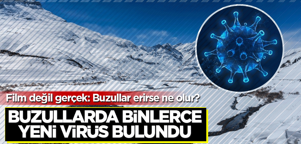 Eriyen buzullarda binlerce yeni virüs bulundu! Film değil gerçek