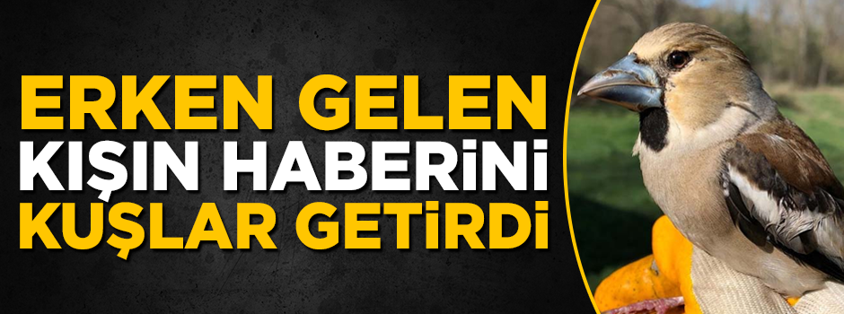 Erkenden gelen kışın haberini kuşlar getirdi