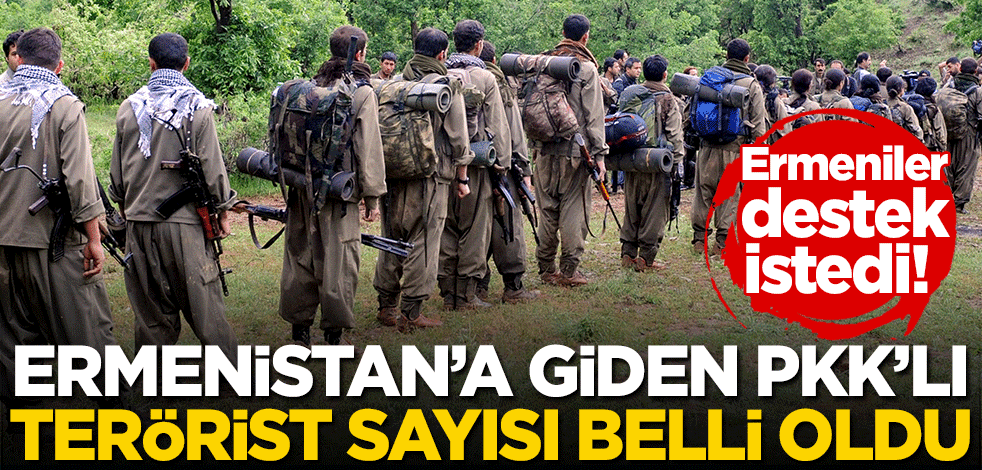 Ermeniler destek istedi! Ermenistan'a giden PKK'lı terörist sayısı belli oldu