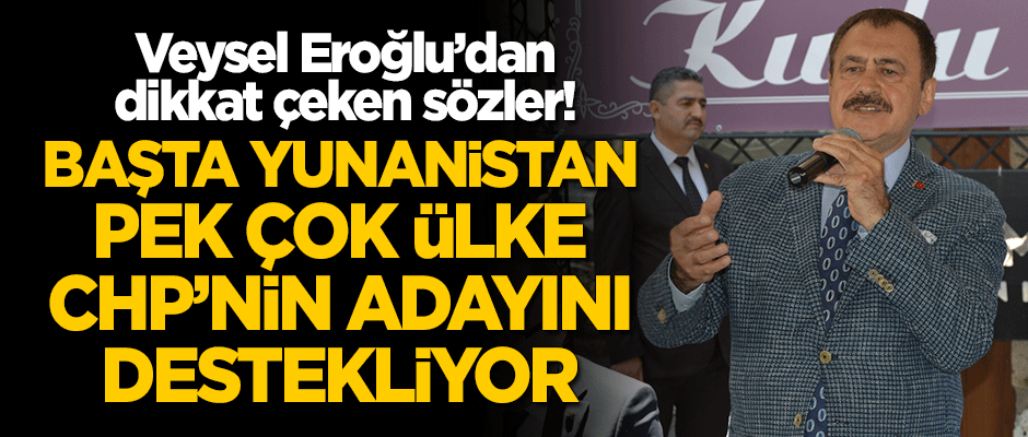 Eroğlu: Başta Yunanistan pek çok ülke CHP'nin adayını destekliyor