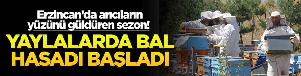 Erzincan’da arıcıların yüzünü güldüren sezon! Yaylalarda bal hasadı başladı