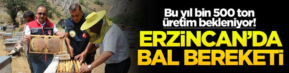Erzincan’da bal bereketi! Bu yıl bin 500 ton üretim bekleniyor