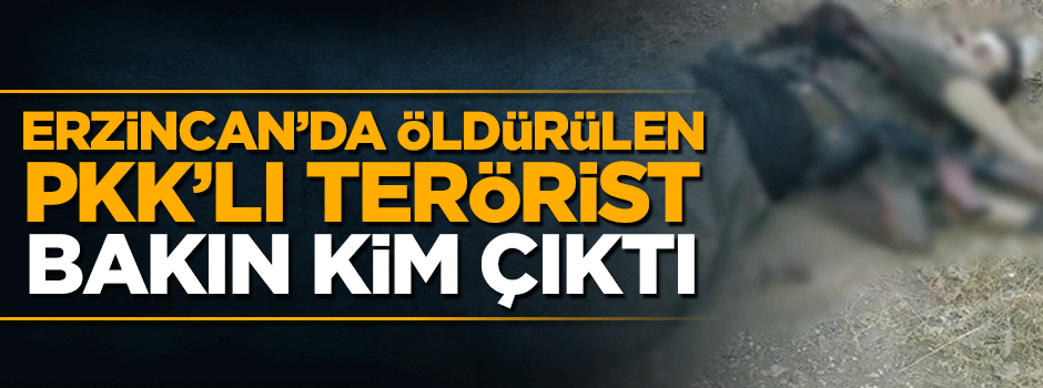 Erzincan'da öldürülen PKK''lı gri listedeki terörist çıktı