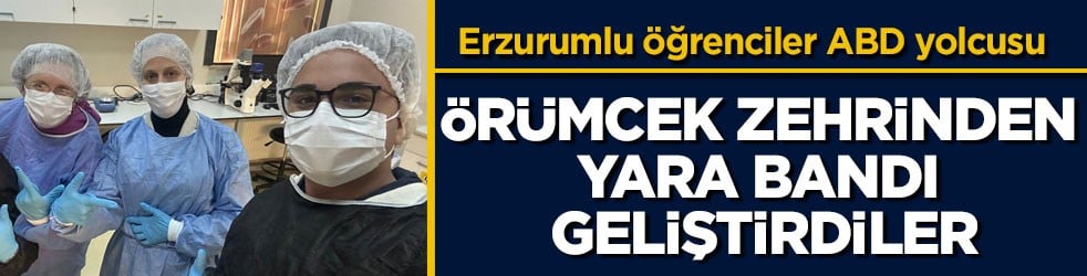 Erzurumlu öğrenciler ABD yolcusu! Örümcek zehrinden yara bandı geliştirdiler