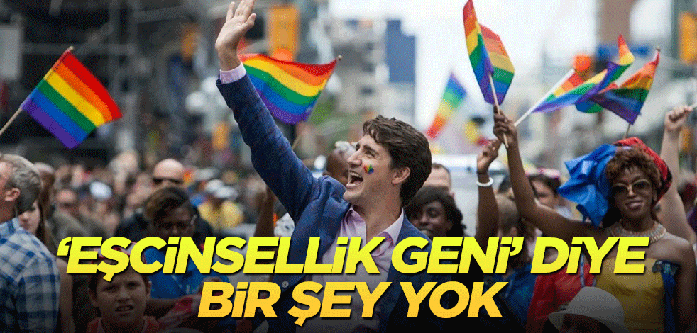 ‘Eşcinsellik geni’ diye bir gen yok