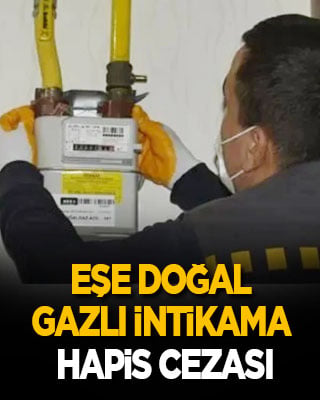 Eşe doğal gazlı intikama hapis cezası