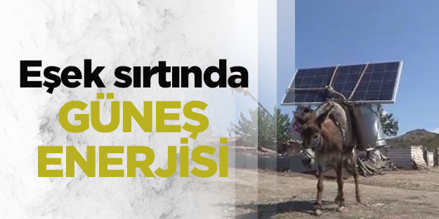 Eşek sırtında güneş enerjisi