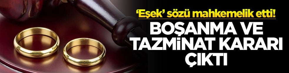 ‘Eşek’ sözü mahkemelik etti! Boşanma ve tazminat kararı çıktı