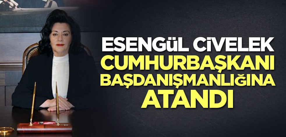 Esengül Civelek Cumhurbaşkanı Başdanışmanlığına atandı