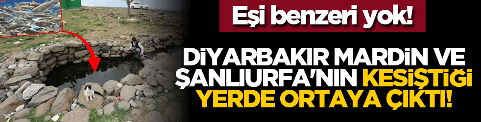Eşi benzeri yok! Diyarbakır Mardin ve Şanlıurfa'nın kesiştiği yerde ortaya çıktı!