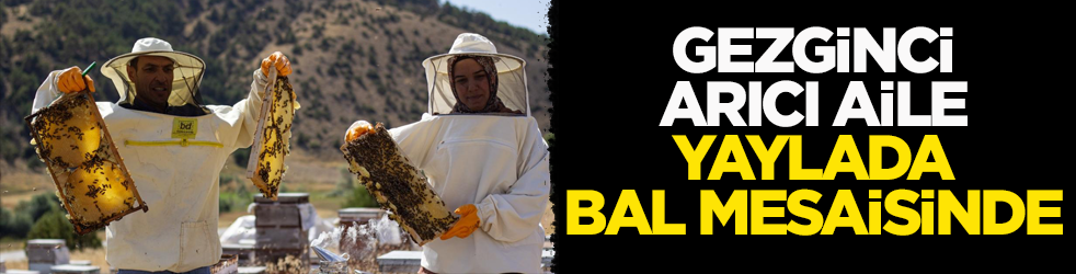 Eşi ve 3 çocuğuyla yaz aylarını kovanlarının başında geçiriyor! Gezginci arıcı aile bal mesaisinde