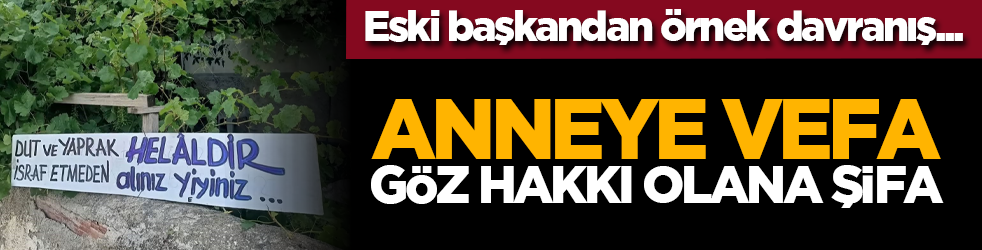 Eski başkandan örnek davranış... Anneye vefa, göz hakkı olana şifa