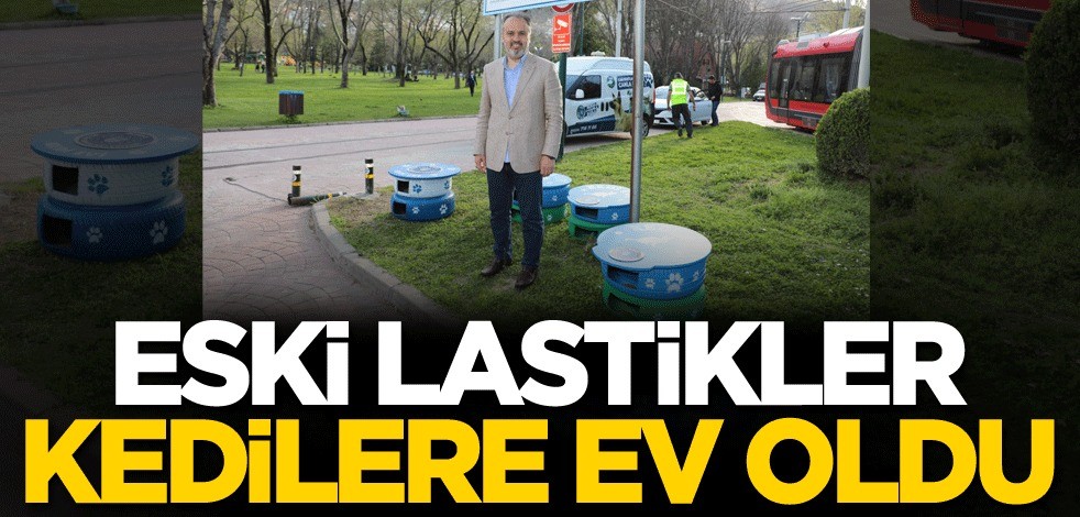 Eski lastikler kedilere ev oldu