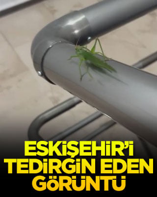 Eskişehir’i tedirgin eden görüntü