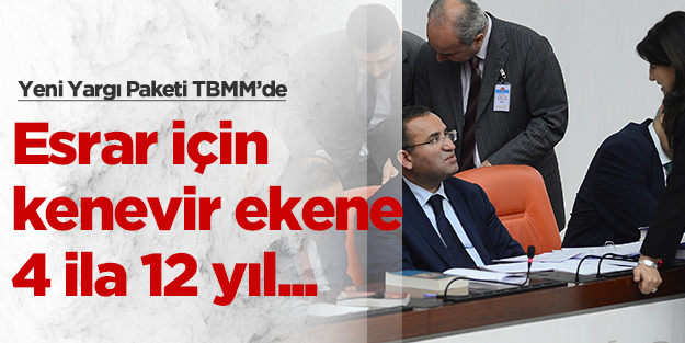 Esrar için kenevir eken yandı: 4 ila 12 yıl!