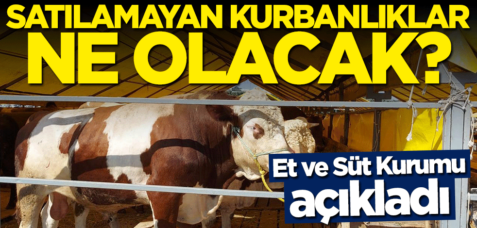 Et ve Süt Kurumu açıkladı... Satılamayan kurbanlıklar ne olacak?