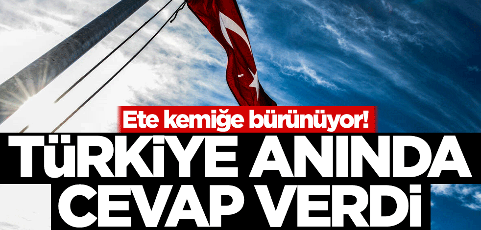 Ete kemiğe bürünüyor! Türkiye anında cevap verdi