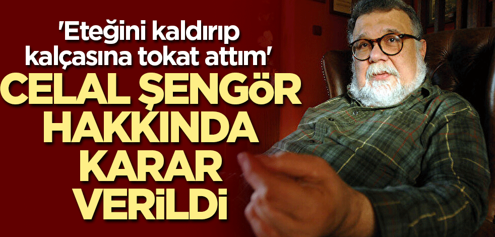 'Eteğini kaldırıp kalçasına tokat attım' diyen Celal Şengör hakkında karar verildi