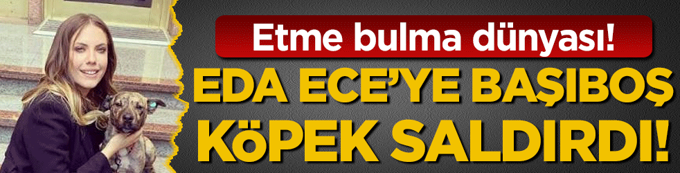 Etme bulma dünyası: Eda Ece başıboş köpeğin saldırısına uğradı!