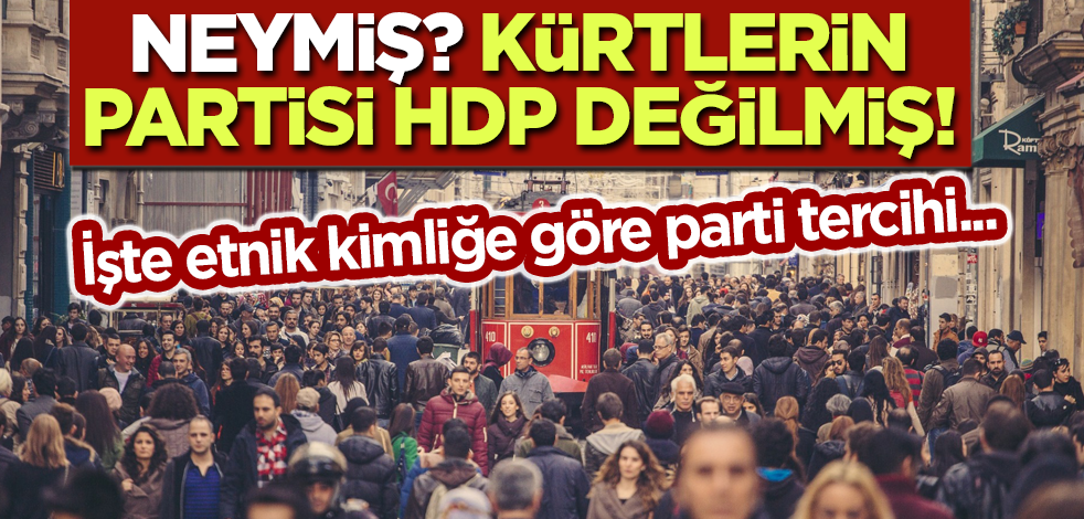 Etnik kimliğe göre seçmen hangi partiye oy veriyor?