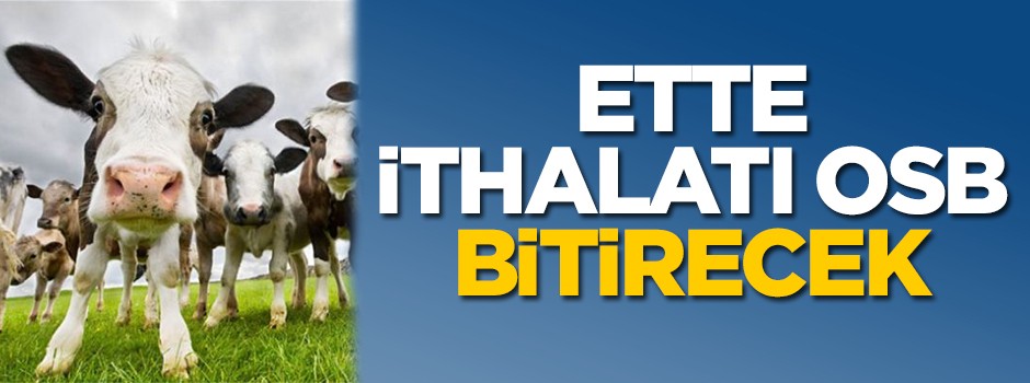 Ette ithalatı OSB bitirecek