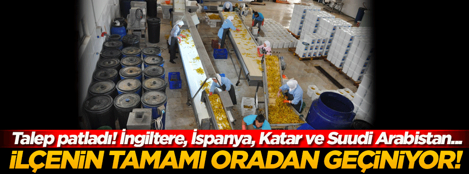 "Ev tipi turşu" ile dünya sofralarına girdi