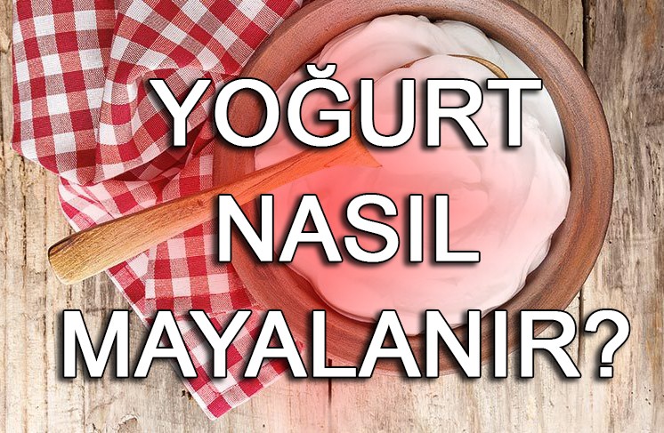 Ev yoğurdu nasıl yapılır? Ev yoğurdu nasıl mayalanır?