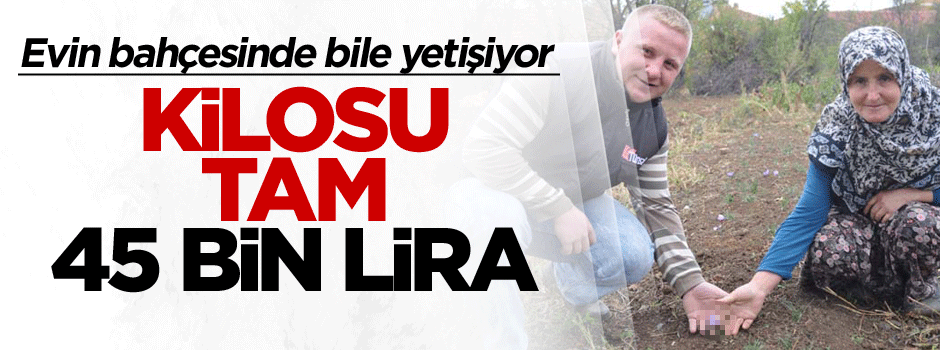 Evin bahçesinde bile yetişiyor üstelik Kilosu tam 45 bin lira