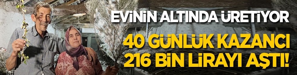 Evinin altında üretiyor: 40 günlük kazancı 216 bin lirayı aştı