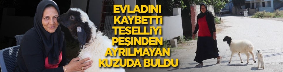 Evladını kaybetti, teselliyi peşinden ayrılmayan hediye kuzuda buldu
