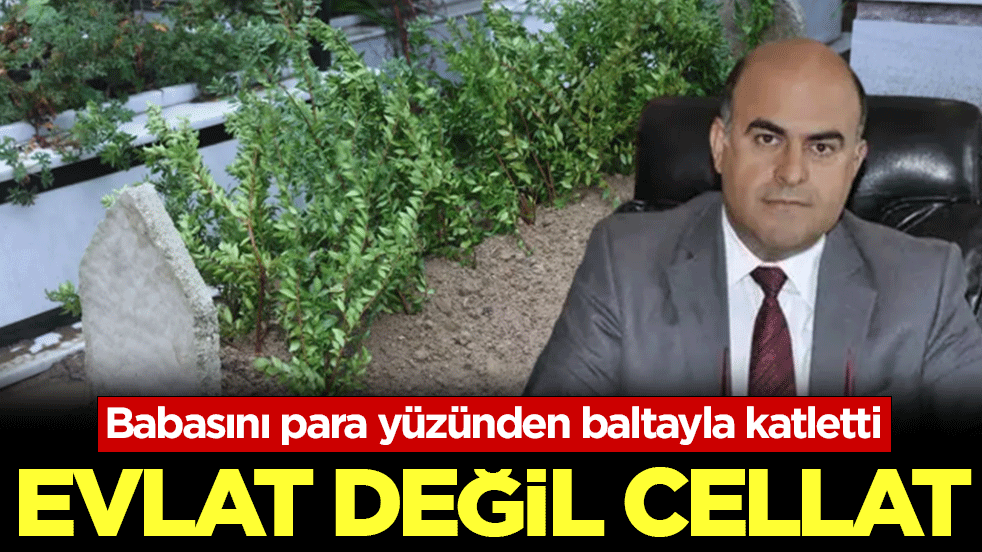Evlat değil cellat! Babasını para yüzünden baltayla katletti! Bir dönem belediye başkanlığı yapmıştı