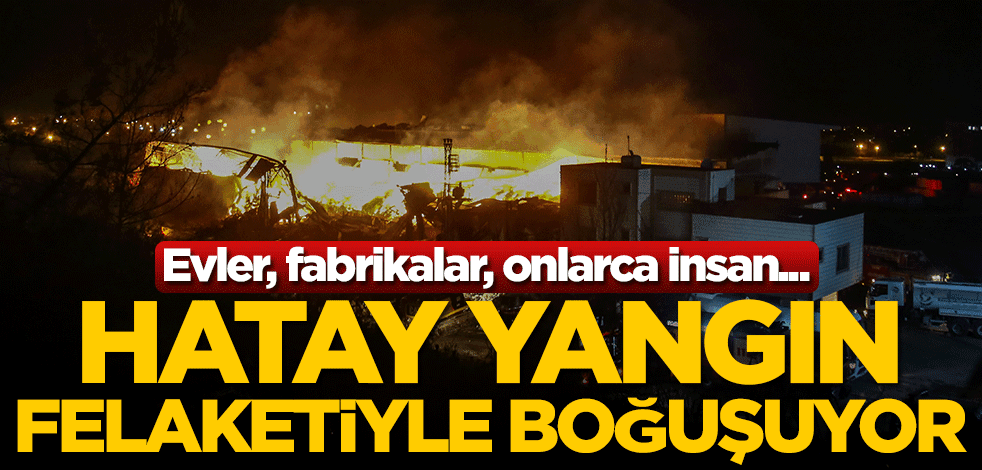 Evler, fabrikalar, onlarca insan... Hatay yangın felaketiyle boğuşuyor