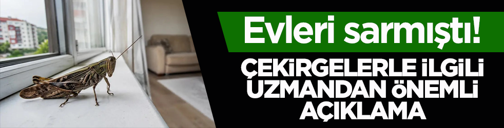 Evleri sarmıştı! &Ccedil;ekirgelerle ilgili uzmandan &ouml;nemli a&ccedil;ıklama