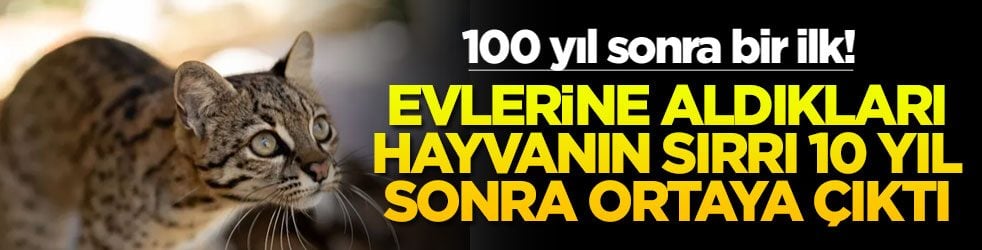 Evlerine aldıkları hayvanın sırrı 10 yıl sonra ortaya çıktı! 100 yıl sonra bir ilk
