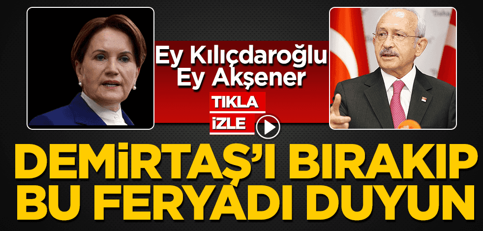 Ey Kılıçdaroğlu ve Akşener, Demirtaş’a değil bu feryada kulak verin