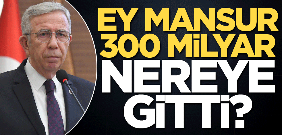 Ey Mansur, 300 milyar nereye gitti