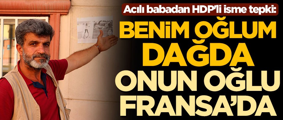 Eylemini sürdüren acılı babadan HDP'li isme tepki: Benim oğlum dağda onun oğlu Fransa'da