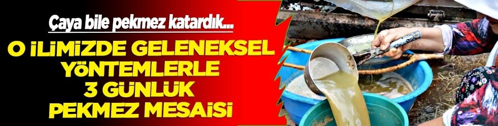  Eyl&uuml;l&rsquo;den bu yana: &Uuml;z&uuml;m&uuml;n işte g&uuml;nl&uuml;k mesaisi! Tadını bilen az... Binlerce yıllık sırrına bakın neymiş