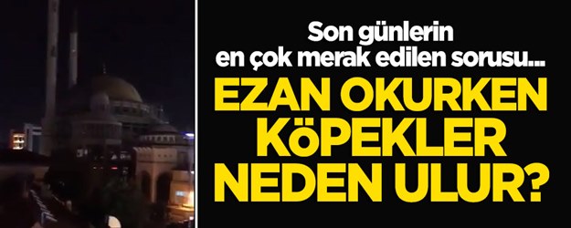 Ezan okunurken köpekler neden ulur?