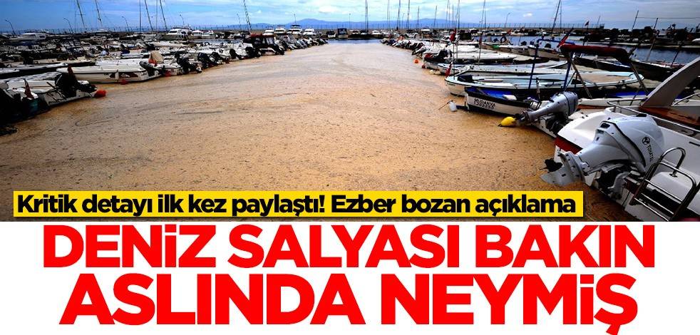 Ezber bozan açıklama geldi! Deniz salyası bakın aslında neymiş