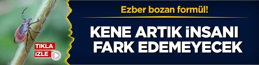 Ezber bozan formül! Kene artık insanı fark edemeyecek