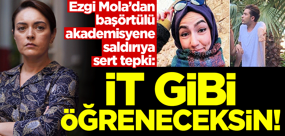 Ezgi Mola, başörtülü akademisyene saldırıya sert tepki: İt gibi öğreneceksin!