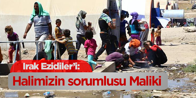 Ezidiler: Halimizin sorumlusu Maliki