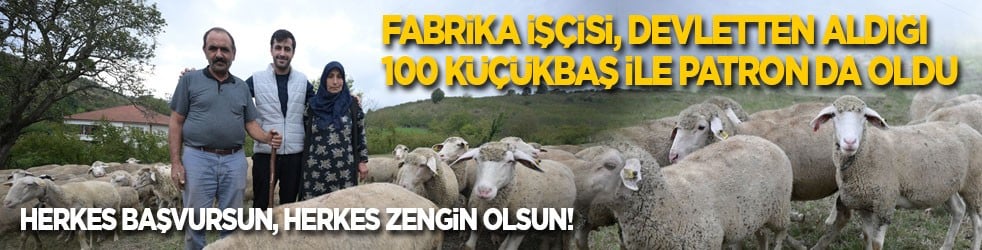 Fabrikada işçisi, devletten aldığı 100 küçükbaş ile patron da oldu: Herkes başvursun, herkes zengin olsun!