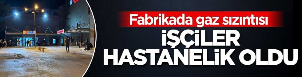 Fabrikasında gaz sızıntısı! 15 işçi hastanelik oldu